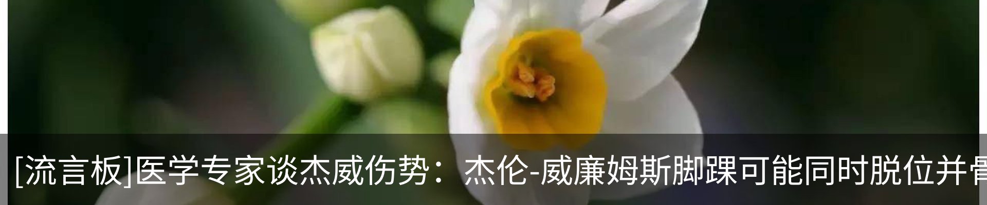 资讯动态